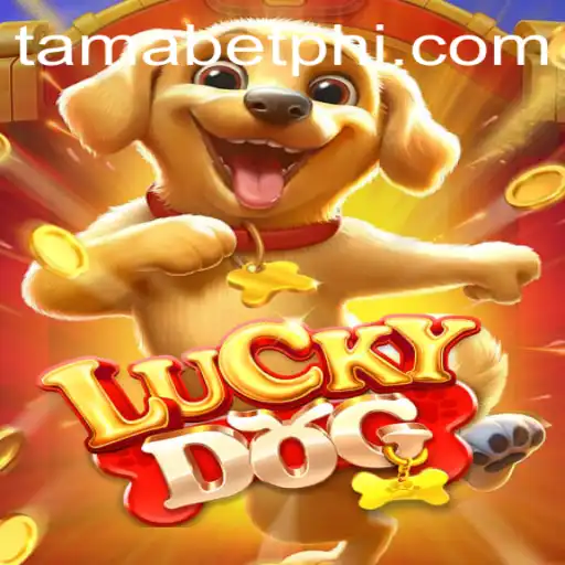 Discover the Thrills of LuckyDog: A Dive into Tamabet's Latest Sensation